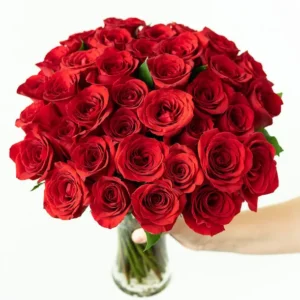 50 Stunning Long Stemmed Red Roses with vase